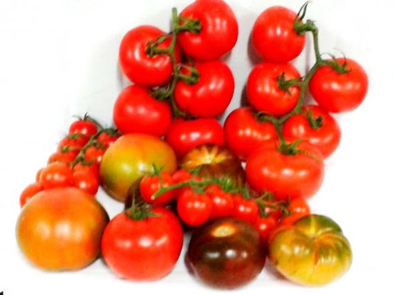 Frutas Sánchez Mora tomates