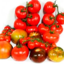 Frutas Sánchez Mora tomates